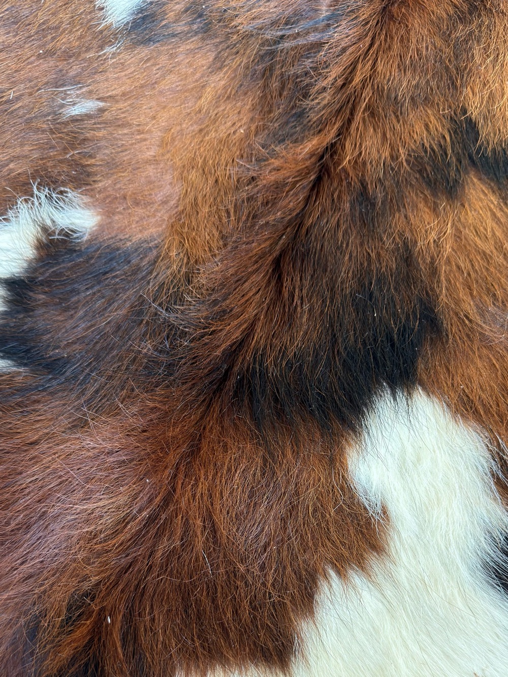 Premium Cowhide Rug 6x7- Brown,Black & White - Picture 5 of 6